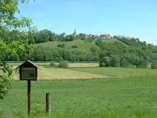 Blick auf Leiberg