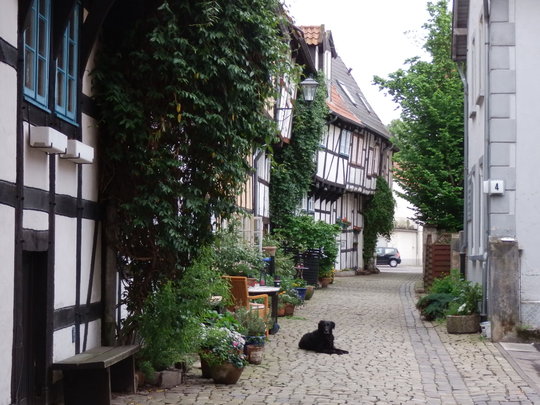 Adolfstra&szlig;e Detmold